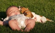 Las mascotas protegen a los bebés de resfriados y alergias