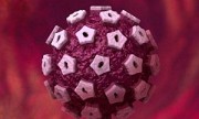 El VPH, virus que puede causar cáncer de cuello de útero.