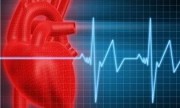 Analizan el rol del “colesterol bueno” en la protección del infarto